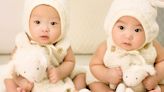 Identical twins raised apart in Korea and US have similar personality traits but different IQs