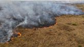 Las fotos de los históricos incendios en el Pantanal brasileño: “Una de las peores situaciones nunca vistas”