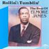 Rollin' & Tumblin': The Best of Elmore James [Relic]