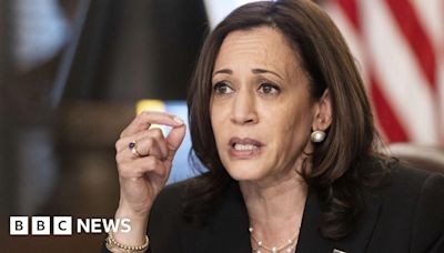 Is Kamala Harris a 'failed border czar'?