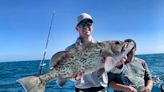 Atlantic gag grouper season opens May 1, but NOAA cut from 8 months to just 6 weeks