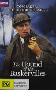 The Hound of the Baskervilles