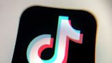 FTC Suspects TikTok of Violating Children's Privacy Again, Refers Matter to DOJ | Corporate Counsel