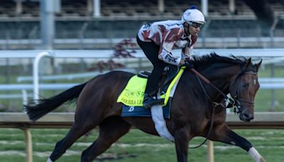 Sierra Leone jockey, trainer, odds and more to know about Kentucky Derby 2024 horse