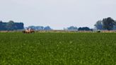 Por la recuperación del agro, la actividad económica creció 2,3% en mayo