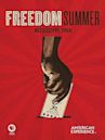 Freedom Summer (film)