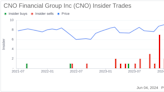 Insider Sale: Chief Information Officer Michael Mead Sells Shares of CNO Financial Group Inc (CNO)