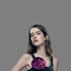 Ann Ward