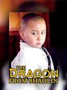 Dragon from Shaolin
