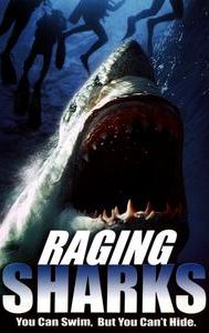 Raging Sharks