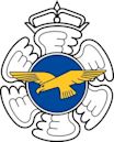 Finnish Air Force