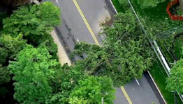 Hundreds without power after trees down powerlines during storm in Scarsdale