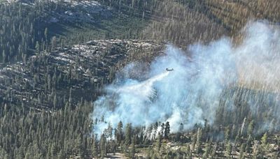 Yosemite National Park Monday, August 5th, Update on Six Lightning Caused Fires in the High Elevation Wilderness