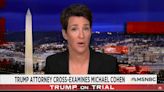 Rachel Maddow Unimpressed by Trump ‘Nothing’ Legal Strategy: ‘Like They’re Just Not Mapping a Defense at All’ | Video