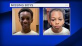 2 brothers reported missing from Englewood, Chicago police say
