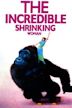 The Incredible Shrinking Woman