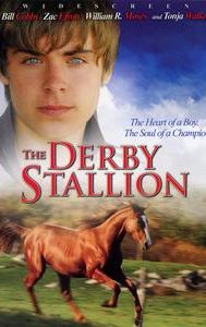 The Derby Stallion