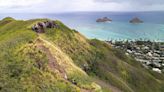 Barking Dog Leads Rescuers to Hiker Stranded 170 Feet Below Remote Trail in Hawaii