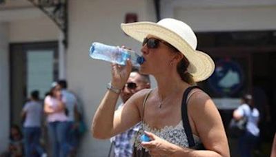 El tipo de agua que debes evitar porque daña la salud de tus riñones de forma casi irreversible