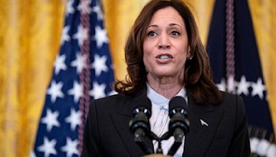 Kamala Harris considera que "la palabra tragedia ni se acerca a describir" el ataque israelí al campo de desplazados de Rafah