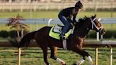 He’s the Fastest Horse in the Kentucky Derby—When He Decides to Show Up