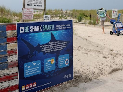 Officials: Five shark sightings in 4 days off Long Island beaches