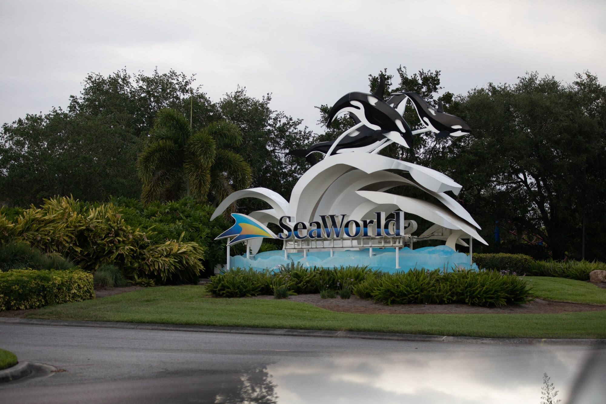 SeaWorld Postpones Planned Loan Refinancing Amid Market Turmoil