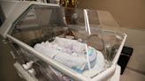 Lee Health evacuates six premature newborns; hundreds more patient transfers expected to Collier