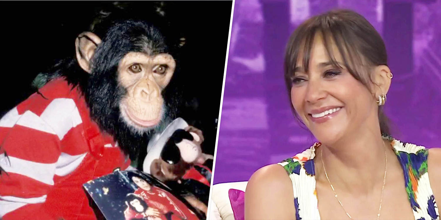 Rashida Jones recalls being bit by Michael Jackson's chimpanzee Bubbles: 'I have a scar'