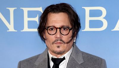 Johnny Depp Plays Gibberish-Speaking Puffin in Next Film