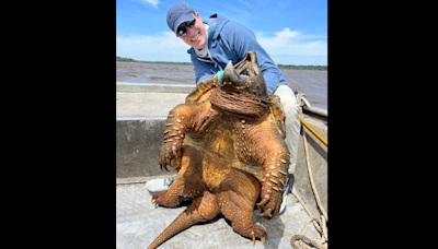 200-pound creature was fisherman’s ‘consolation prize.’ Then he set a world record