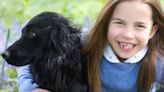 Picture released of Princess Charlotte and pet dog Orla to mark seventh birthday