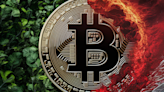 If the Bitcoin Halving Is Super Bullish, Why Does BTC Crash Shortly After? - Decrypt