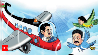 Taking wing or facing birdhit? | Chennai News - Times of India