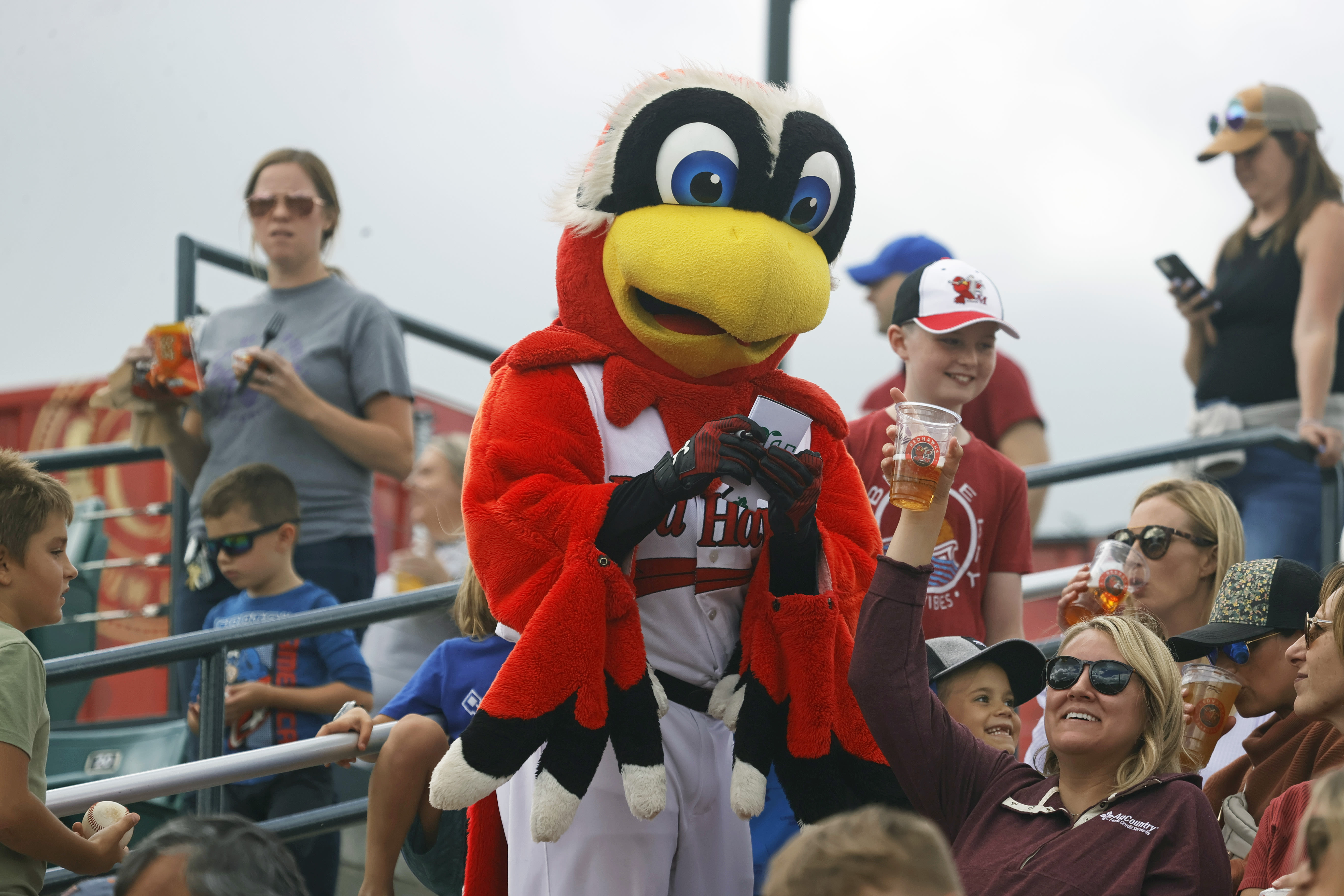 A fan's guide to RedHawks game promotions that include ninja turtles, pickleball paddles, Santa Claus