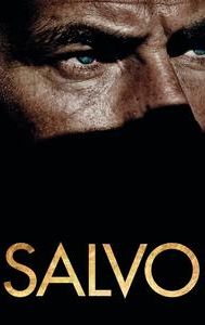 Salvo