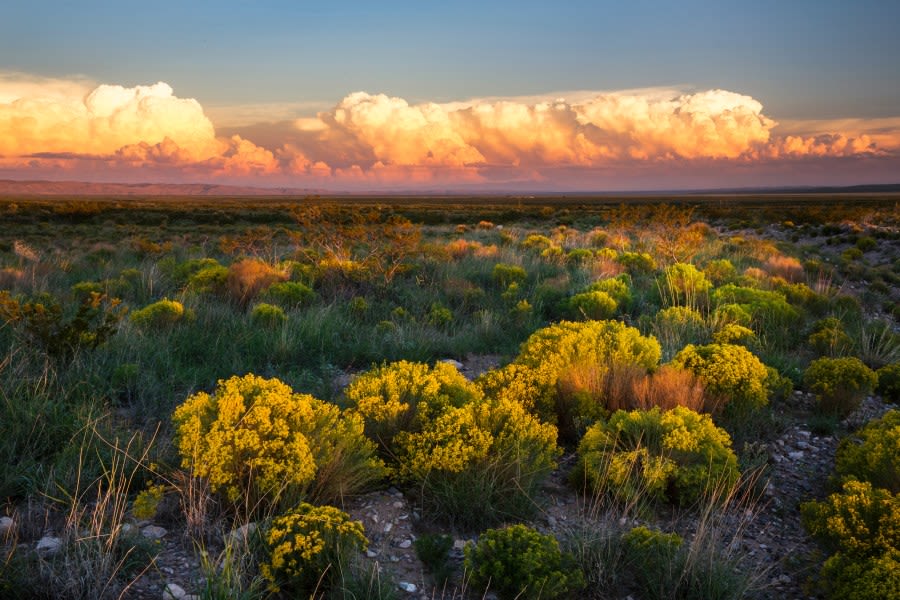 Best lookout points in New Mexico, according to Tripadvisor