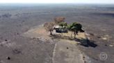 Incêndios no Pantanal prejudicam o ecoturismo da região