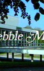 Pebble Mill at One