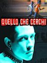 Quello Che Cerchi