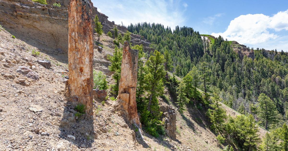 The hot, cold journey of Yellowstone's silica