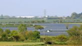 Solar farm that could power tens of thousands of homes proposed in Holderness