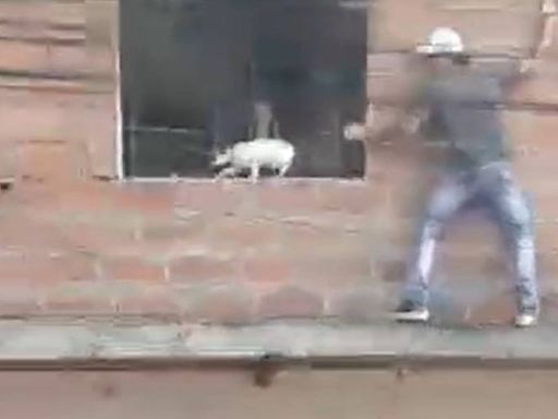 Hombre arriesgó la vida y se quemó las manos por salvar a 10 gatitos atrapados en un incendio