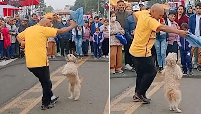 Perrito se convierte en viral al bailar marinera tras desfile y dicen: “Peruano de corazón”