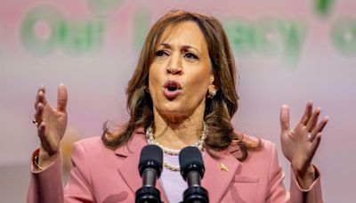 Quién es Kamala Harris, la primera vicepresidenta de la historia y la favorita de Biden para sustituirlo como candidata a presidenta de EE.UU.