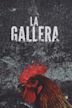 La gallera