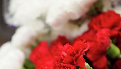 What does a white carnation mean on Mother's Day? | Ayala