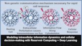 Study suggests that cells possess a hidden communication system