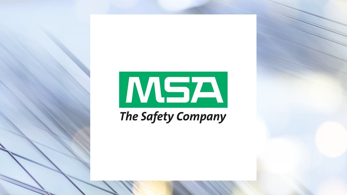 Allspring Global Investments Holdings LLC Has $88,000 Stake in MSA Safety Incorporated (NYSE:MSA)