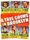 Un albero cresce a Brooklyn